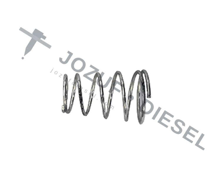 Small Bottle Return Spring — Diesel Injection Pump 2