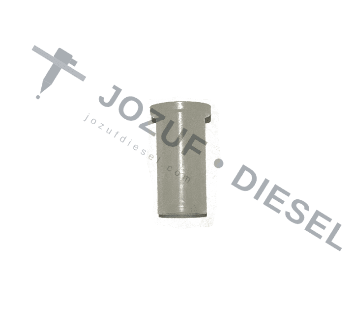 Common Rail Injector Tip Protection Plug 3