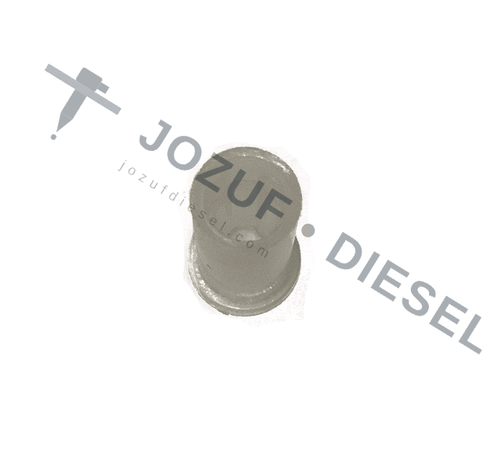 Common Rail Injector Tip Protection Plug 2
