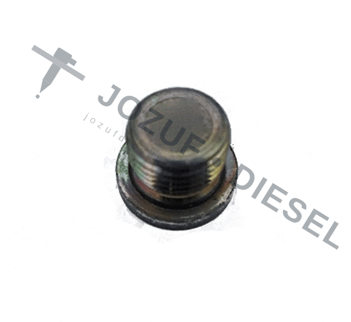 16mm Flush Plug Cap — Diesel Fuel System 2