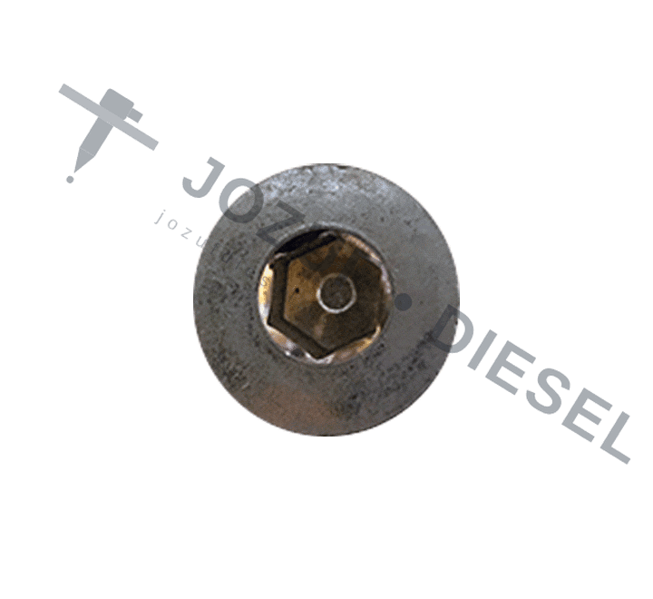 16mm Flush Plug Cap — Diesel Fuel System