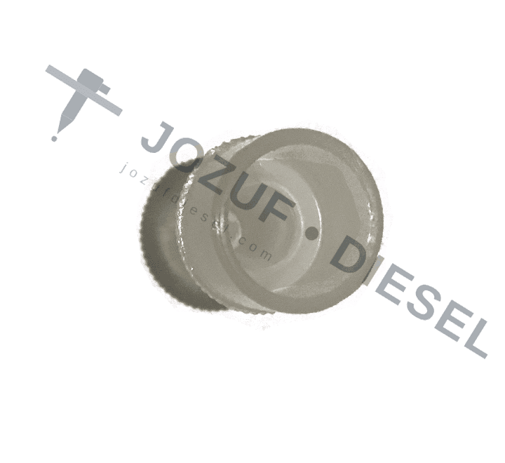 Common Rail Injector Tip Protection Plug (Large) 3