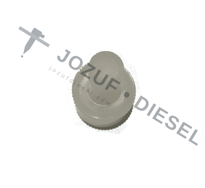 Common Rail Injector Tip Protection Plug (Large) 2
