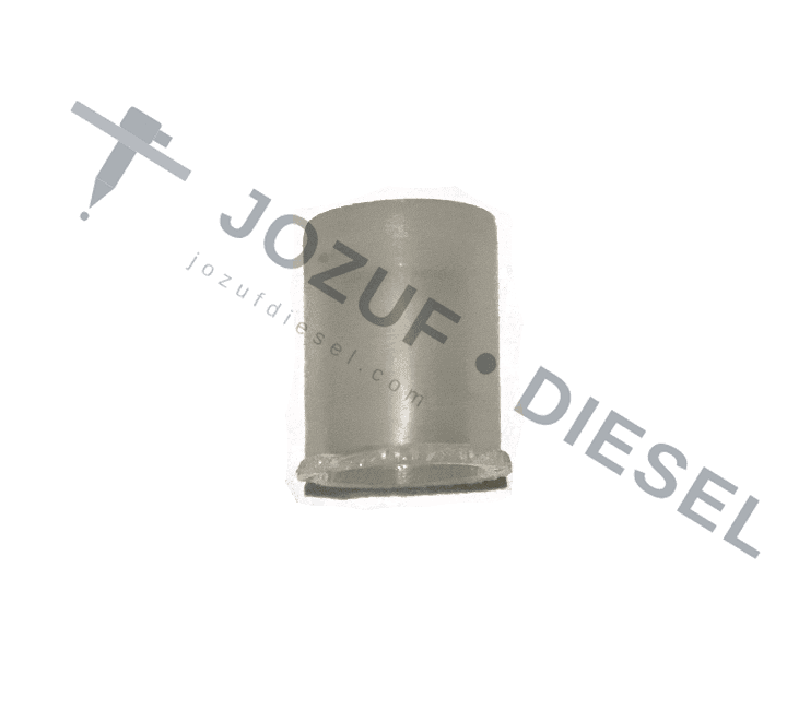 Common Rail Injector Fuel Inlet Port Plug