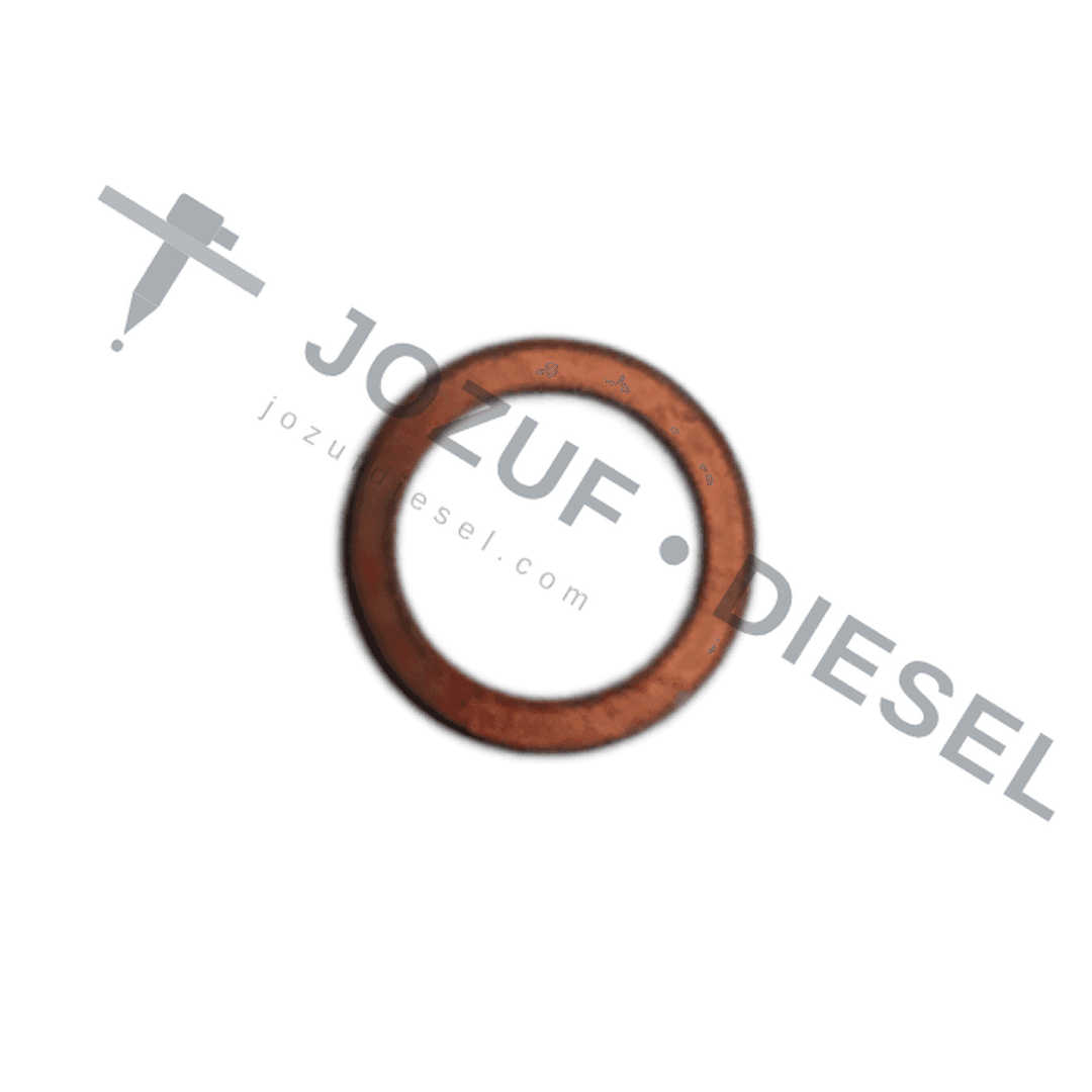 001 Delivery Valve Washer 1