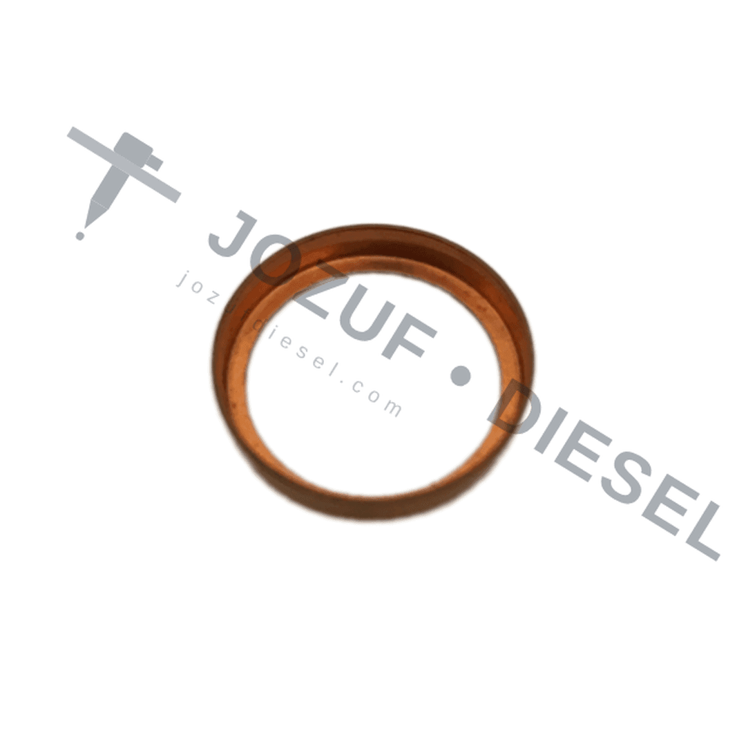 P-Type Delivery Valve Washer 2